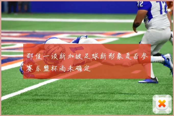 邵佳一谈新加坡足球新形象是否参赛东盟杯尚未确定
